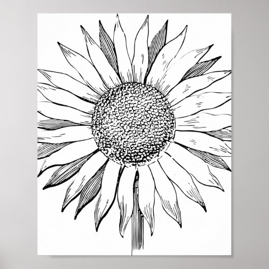 Illustrierte Sonnenblume Poster (Vorne)
