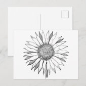 Illustrierte Sonnenblume Postkarte (Vorne/Hinten)
