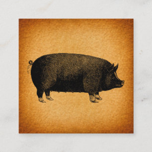 Illustrierte Vintage-Schwein-Rustikal-Kunst Begleitkarte