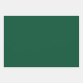 Illustrierte Weihnachtsfeier Rot & Grün Wrapping Geschenkpapier Set (Vorderseite 3)