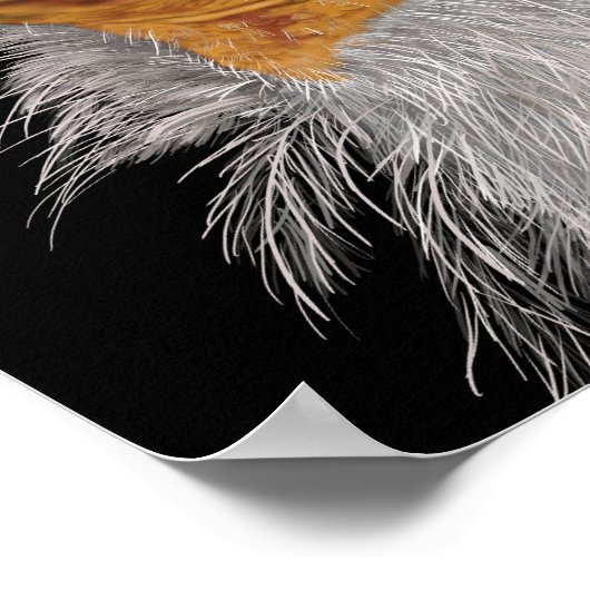 Illustrierter ägyptischer Vulkan Poster (Ecke)