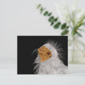 Illustrierter ägyptischer Vulkan Postkarte (Stehend Vorderseite)