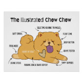 ILLUSTRIERTER CHOW POSTER (Vorderseite)