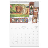 Illustrierter Kalender von Vizsla (Jan 2027)