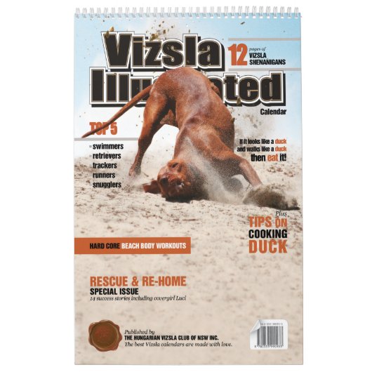 Illustrierter Kalender von Vizsla (Titelbild)