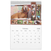 Illustrierter Kalender von Vizsla (Feb 2026)