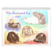 Illustrierter Ratten-Porträt-Kalender 2011 Kalender (Titelbild)