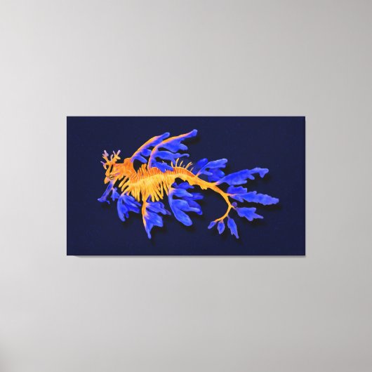 Illustrierter Seeadragon aus Gold und Blauer Leine Leinwanddruck (Vorderseite)