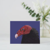 Illustrierter Türkischer Vulture-Zwei-Ton Postkarte (Stehend Vorderseite)