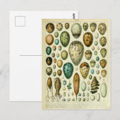 Illustriertes Wörterbuch Eier Postkarte (Vorne/Hinten)