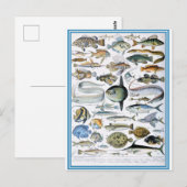 Illustriertes Wörterbuch Fische Postkarte (Vorne/Hinten)