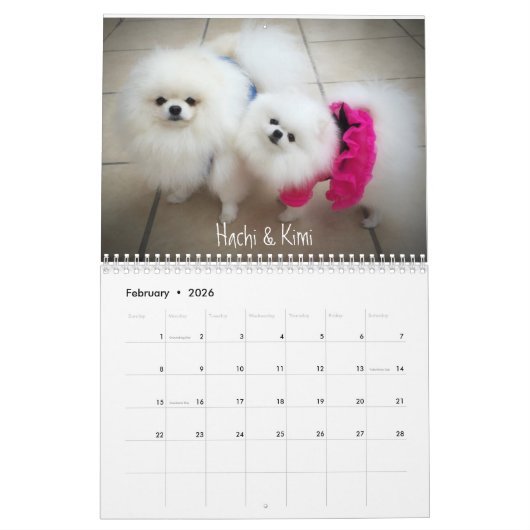 iLMP Kalender 2016 (Feb 2026)