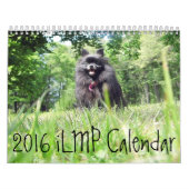 iLMP Kalender 2016 (Titelbild)