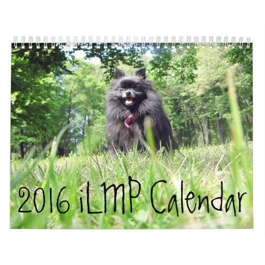 iLMP Kalender 2016 (Titelbild)
