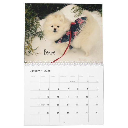 iLMP Kalender 2016 (Jan 2026)