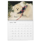 iLMP Kalender 2016 (Jan 2027)