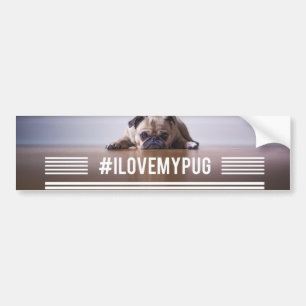 #ILoveMyPug hashtag Autoaufkleber