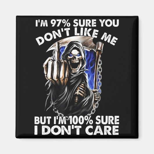 Im 97% Sure You Dont Like Me  Magnet (Vorne)