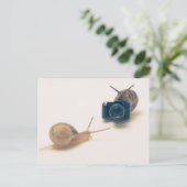 I'm a photographer. postkarte (Stehend Vorderseite)