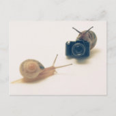 I'm a photographer. postkarte (Vorderseite)