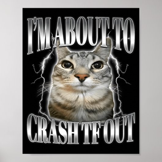 I'm About To Crash Out Funny Staring Cat Brainrot  Poster (Vorne)
