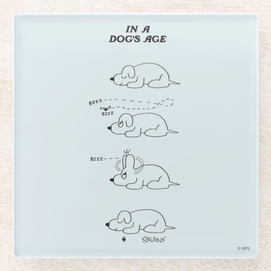 Im Alter eines Hundes Glasuntersetzer (Vorderseite)