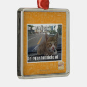 Im auf ur Schlag Silbernes Ornament (Rechts)