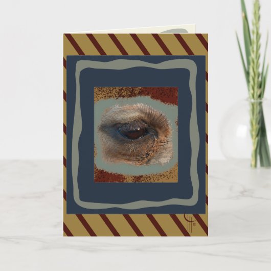 Im Auge der Wüste Karte (Vorderseite)