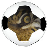 Im Auge eines Tigers Fußball (Gedreht)