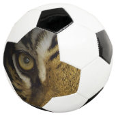 Im Auge eines Tigers Fußball (Dreiviertel)