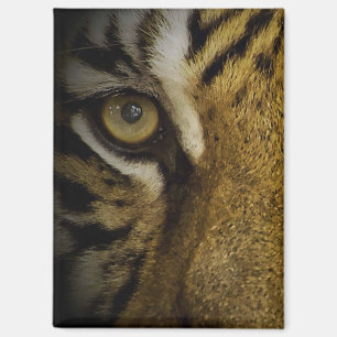 Im Auge eines Tigers Magnet