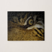Im Auge eines Tigers Puzzle (Horizontal)