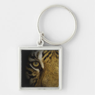Im Auge eines Tigers Schlüsselanhänger