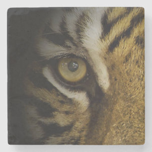 Im Auge eines Tigers Steinuntersetzer