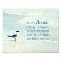 Im Beach Life ist ein anderes Zitat