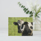 IM BEREICH... POSTKARTE (Stehend Vorderseite)