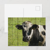 IM BEREICH... POSTKARTE (Vorne/Hinten)