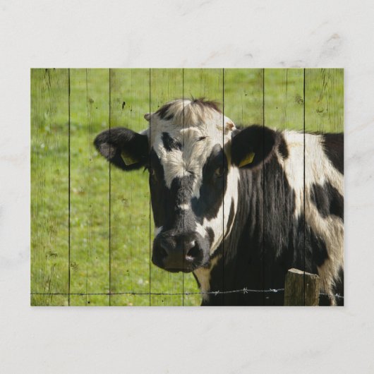IM BEREICH... POSTKARTE (Vorderseite)