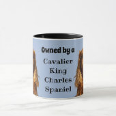 Im Besitz einer Ruby Cavalier King Charles Spaniel Tasse (Zentrum)