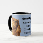 Im Besitz einer Ruby Cavalier King Charles Spaniel Tasse (Vorderseite Links)