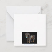 Im Besitz einer Shetland-Karte Mitteilungskarte (Rückseite)