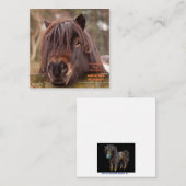 Im Besitz einer Shetland-Karte Mitteilungskarte (Vorne/Hinten)