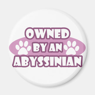 Im Besitz eines Abessiniers Magnet