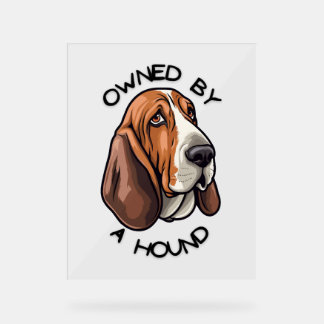Im Besitz eines Basset Hound Acrylschild