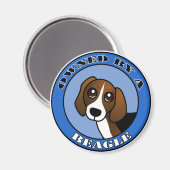 Im Besitz eines Beagle - Blau Magnet (Vorderseite/Rückseite)
