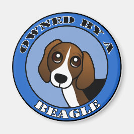 Im Besitz eines Beagle - Blau Magnet