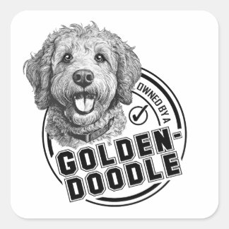 Im Besitz eines Goldendoodles Quadratischer Aufkleber
