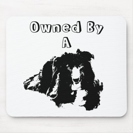 Im Besitz eines Grenzgängers Collie Funny Dog Mousepad (Vorne)