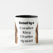 Im Besitz eines Ruby Cavalier King Charles Spaniel Tasse (Zentrum)