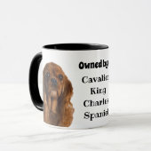Im Besitz eines Ruby Cavalier King Charles Spaniel Tasse (Vorderseite Links)